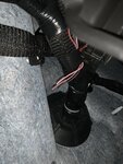 IMG_7384.jpeg