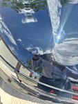 IMG_7037.jpeg