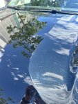 IMG_7036.jpeg
