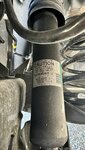 IMG_0956.jpeg