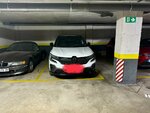 IMG_0488.jpeg