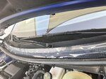 IMG_5600.jpeg