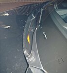 IMG_20240729_060922.jpg