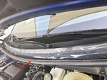 IMG_5600.jpeg